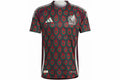 Mexico 2024 home (Player Version)